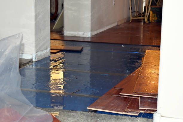 Professional Water Damage Repair technician working in Gause, TX